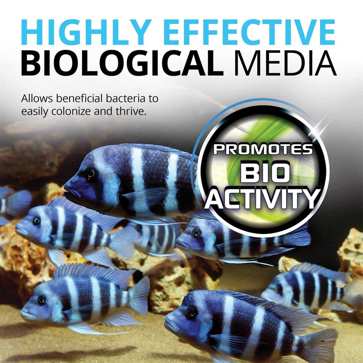 Bio Rings Media Q815