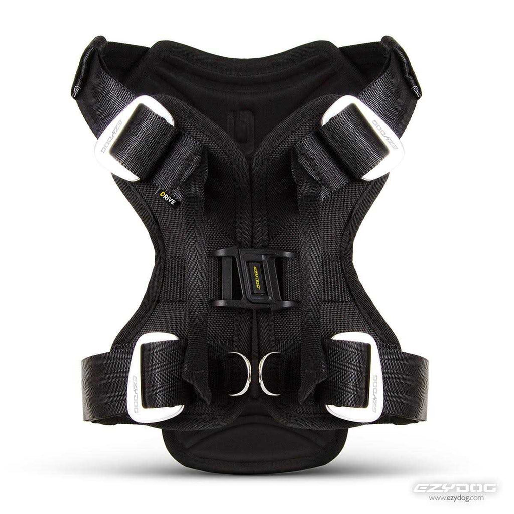 Dog Car Harness Y657
