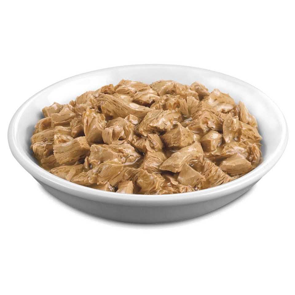 High Protein Wet Cat Food Variety Pack O29838
