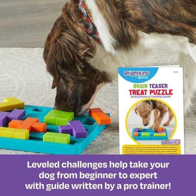 Dog Treat Puzzle P87819