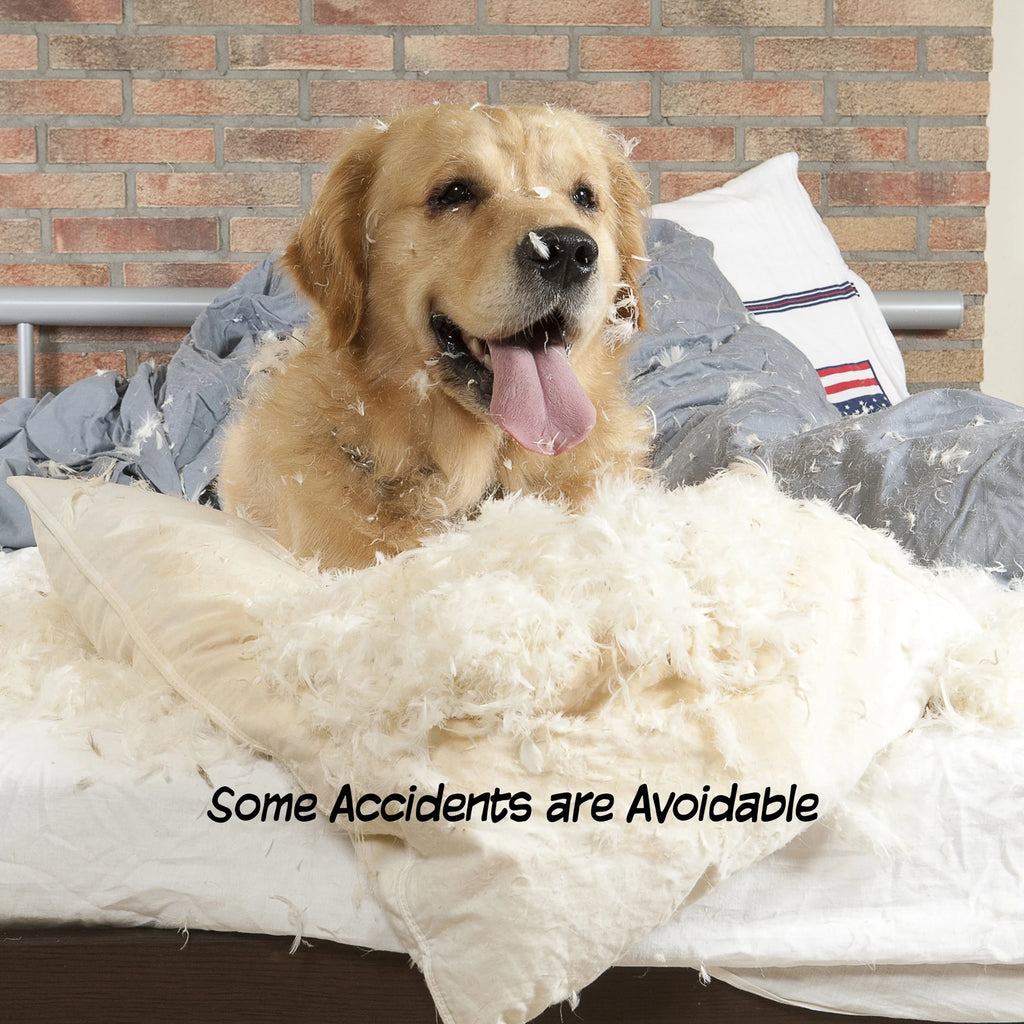 White Wooden Freestanding Folding Accordion Style Dog Gate F544
