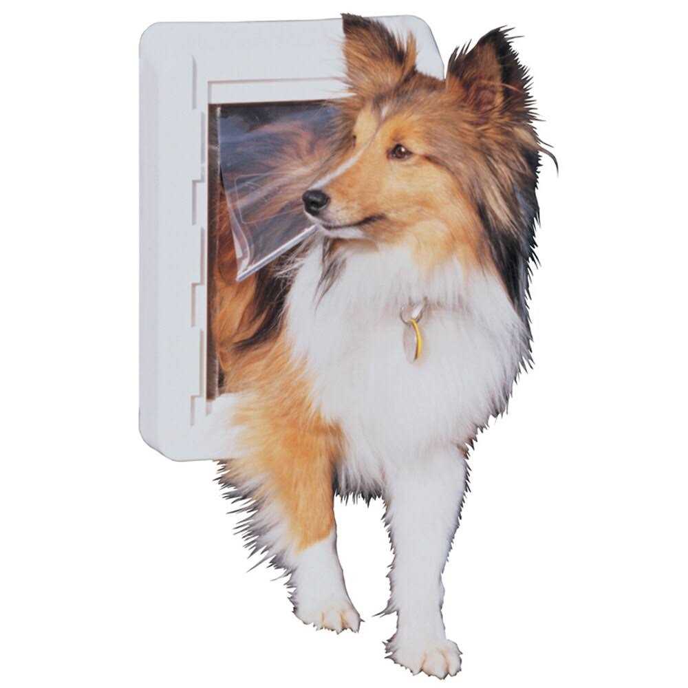 Pet Door Y304879