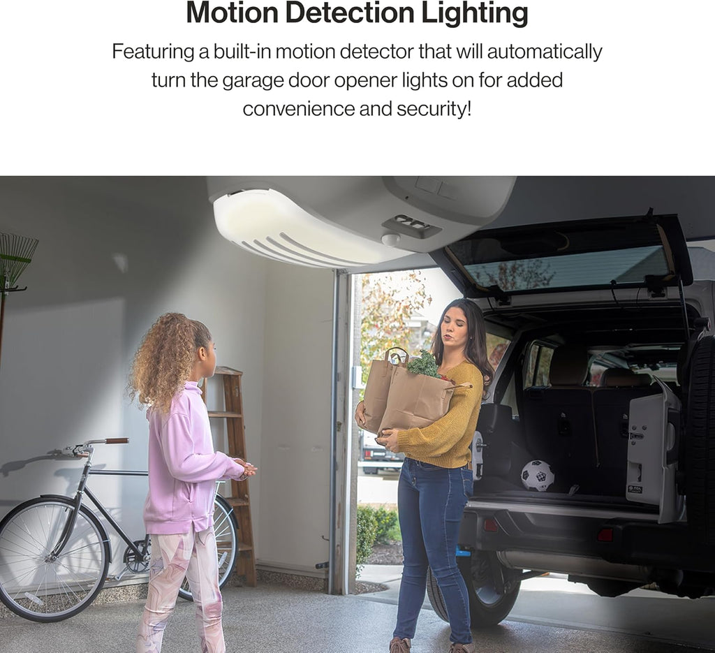Gray Garage Door Opener with Steel-Reinforced Belt Drive F164
