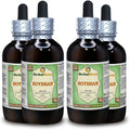 Dried Bean Alcohol-Free Liquid Extract 4x4 fl.oz L845576