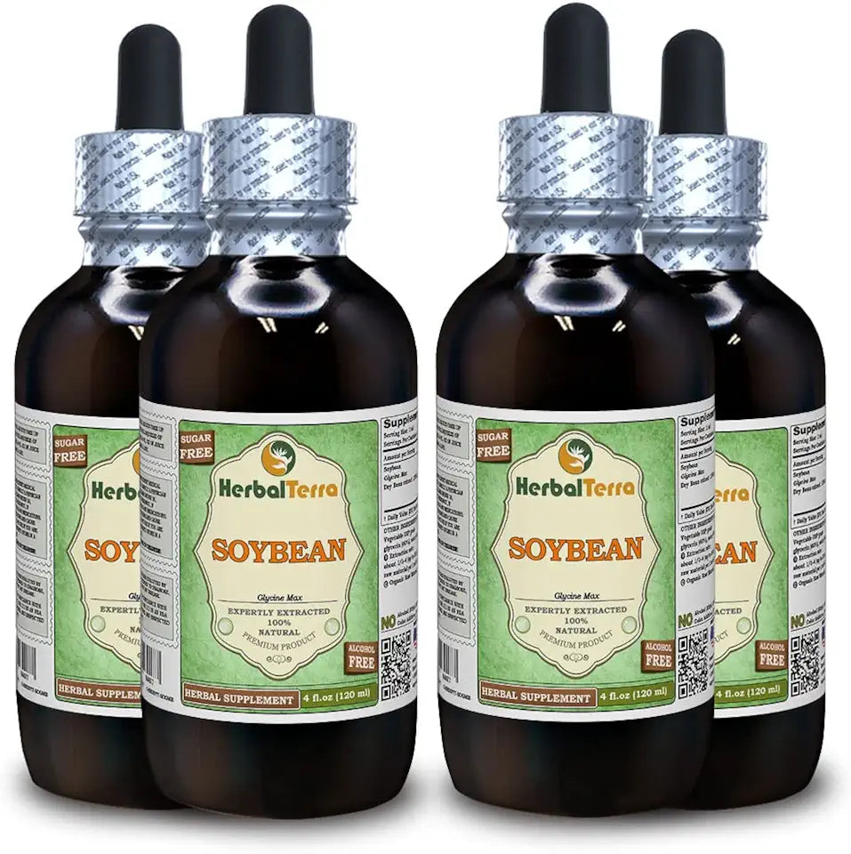 Dried Bean Alcohol-Free Liquid Extract 4x4 fl.oz L845576
