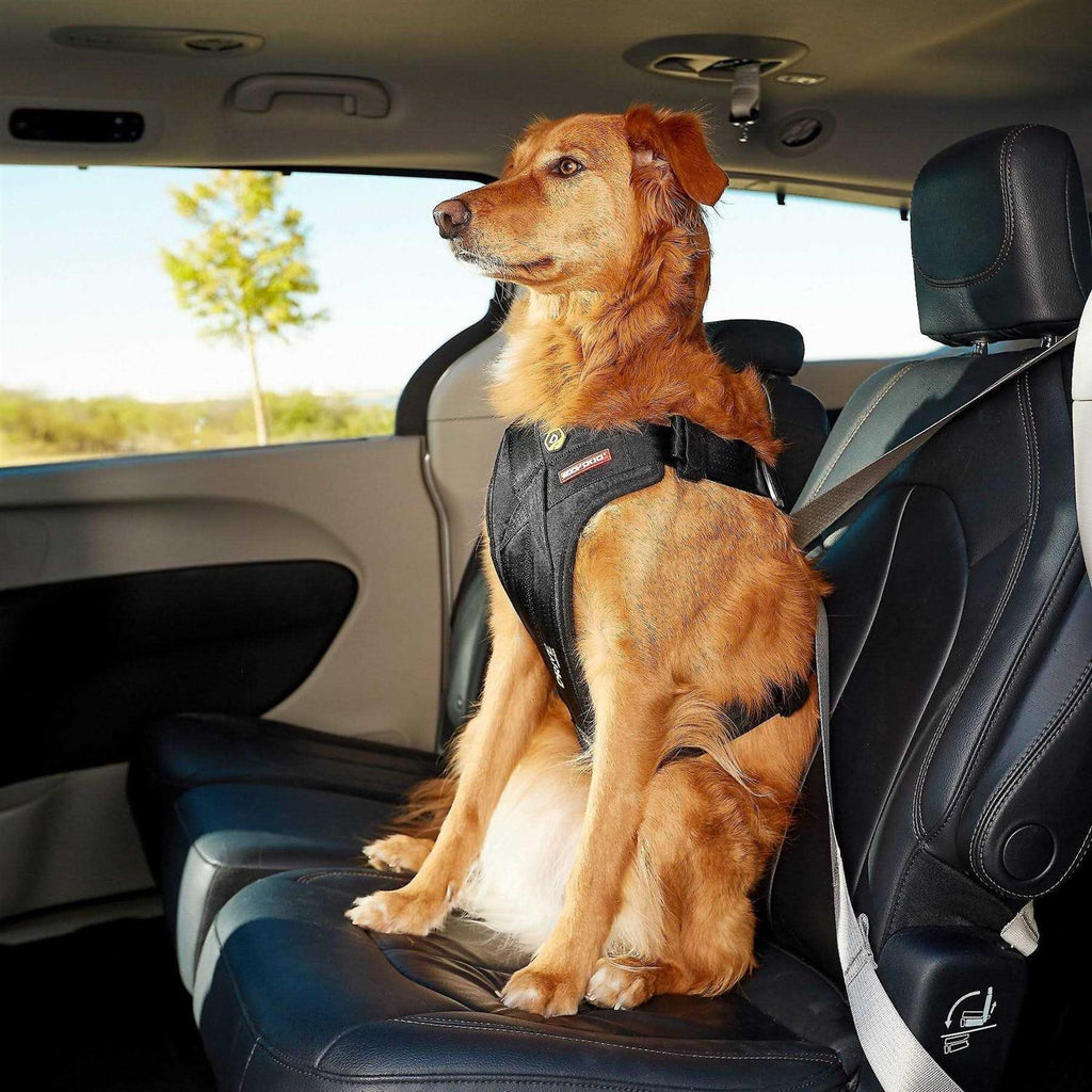 Dog Car Harness Y657