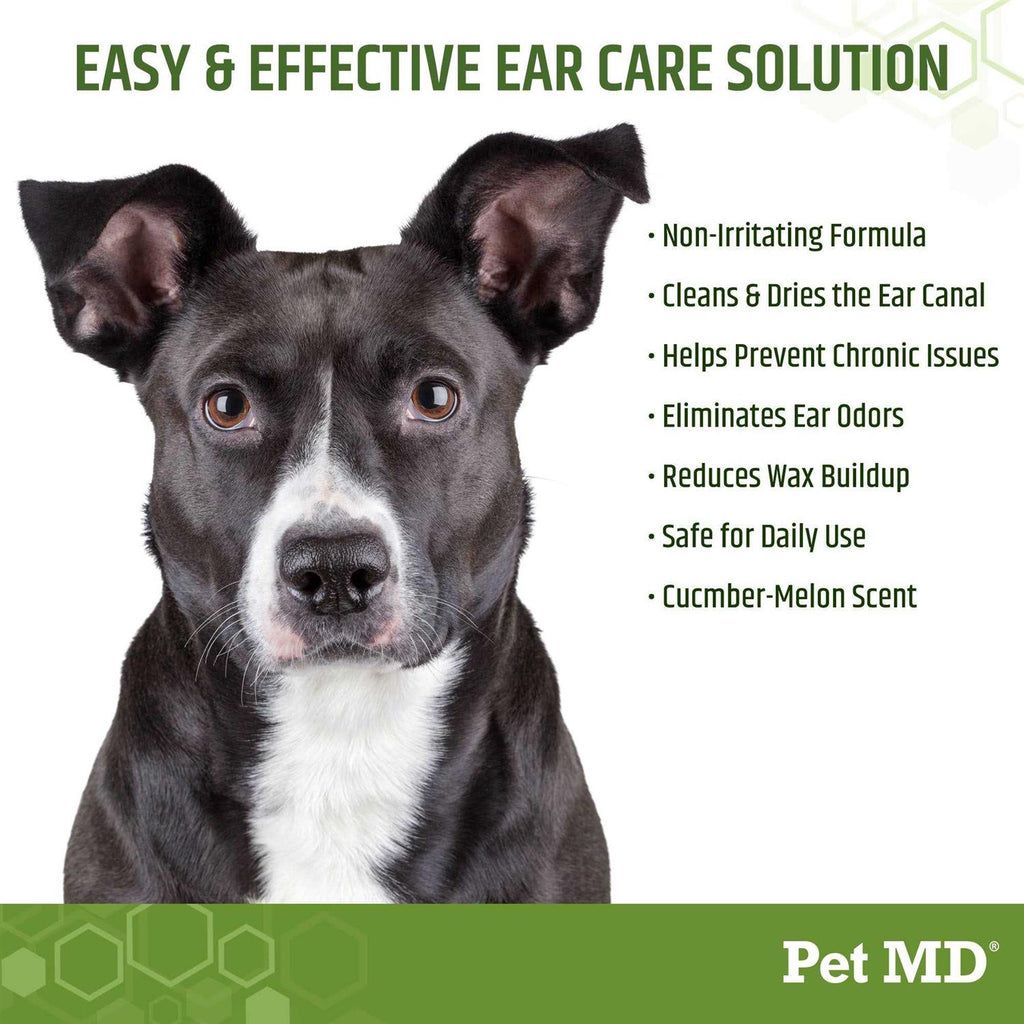 Aloe & Eucalyptus Dog Ear Wipes L677505