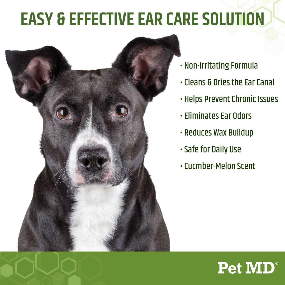 Aloe & Eucalyptus Dog Ear Wipes L677505