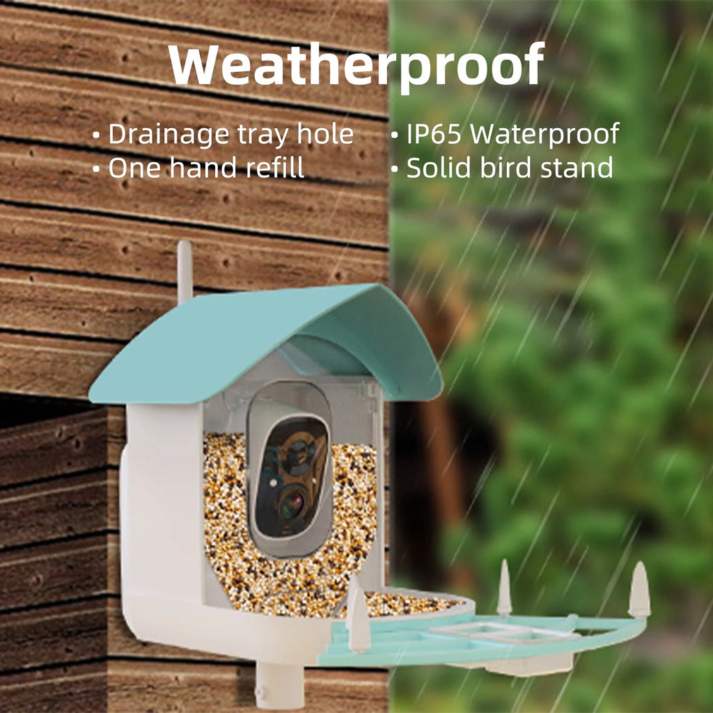 Solar-Powered WiFi 1080P Camera Bird Feeder Z43598