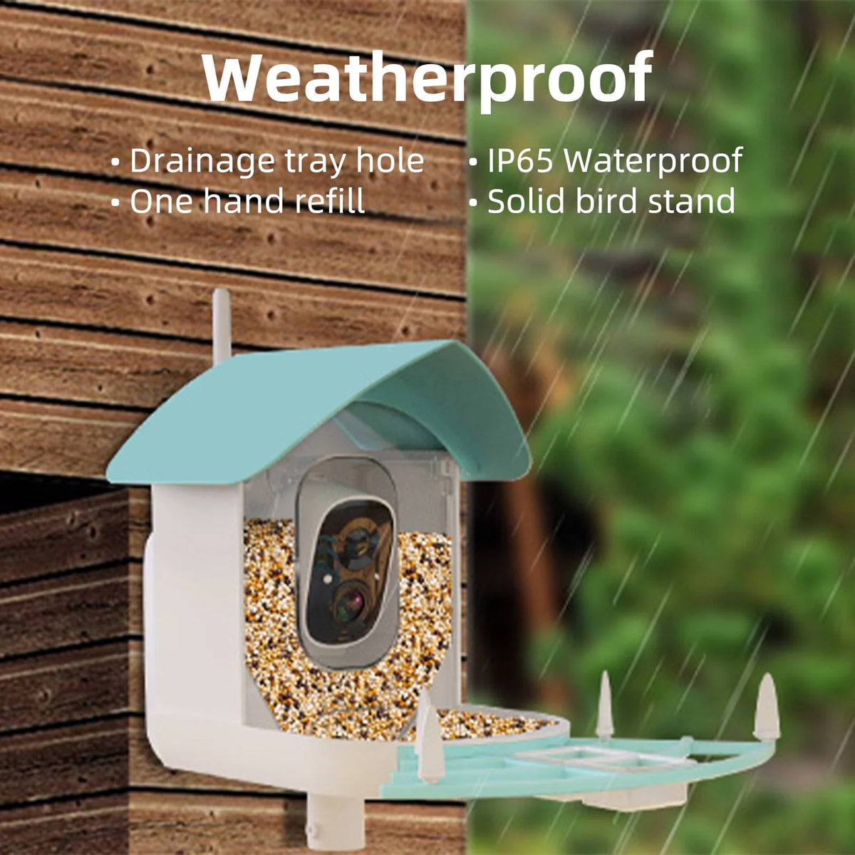 Solar-Powered WiFi 1080P Camera Bird Feeder Z43598