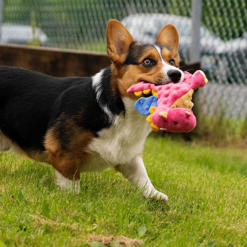 Dog Toy F334095