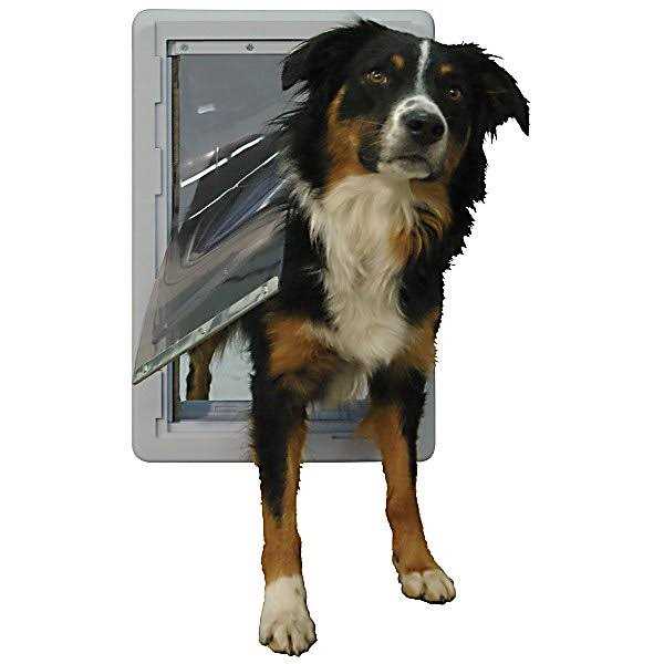 Pet Door Y304879