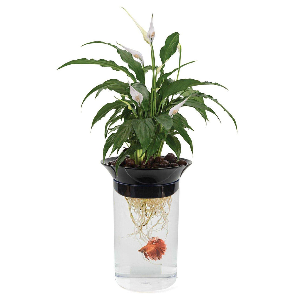Aqua-Ponic Planter & Fish Habitat H430029