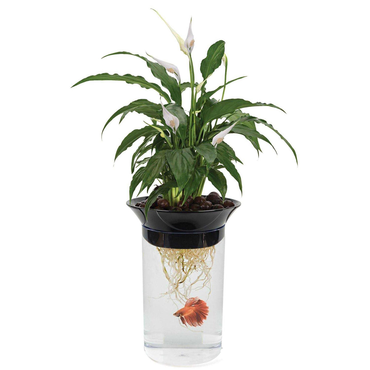Aqua-Ponic Planter & Fish Habitat H430029