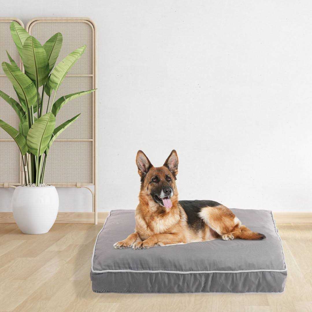 Orthopedic Pet Bed O96471