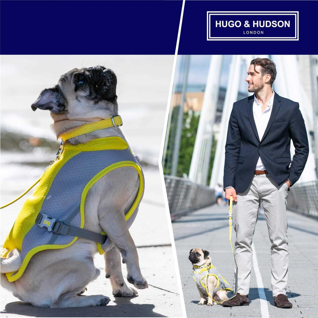 Mesh Dog Collar Z7408