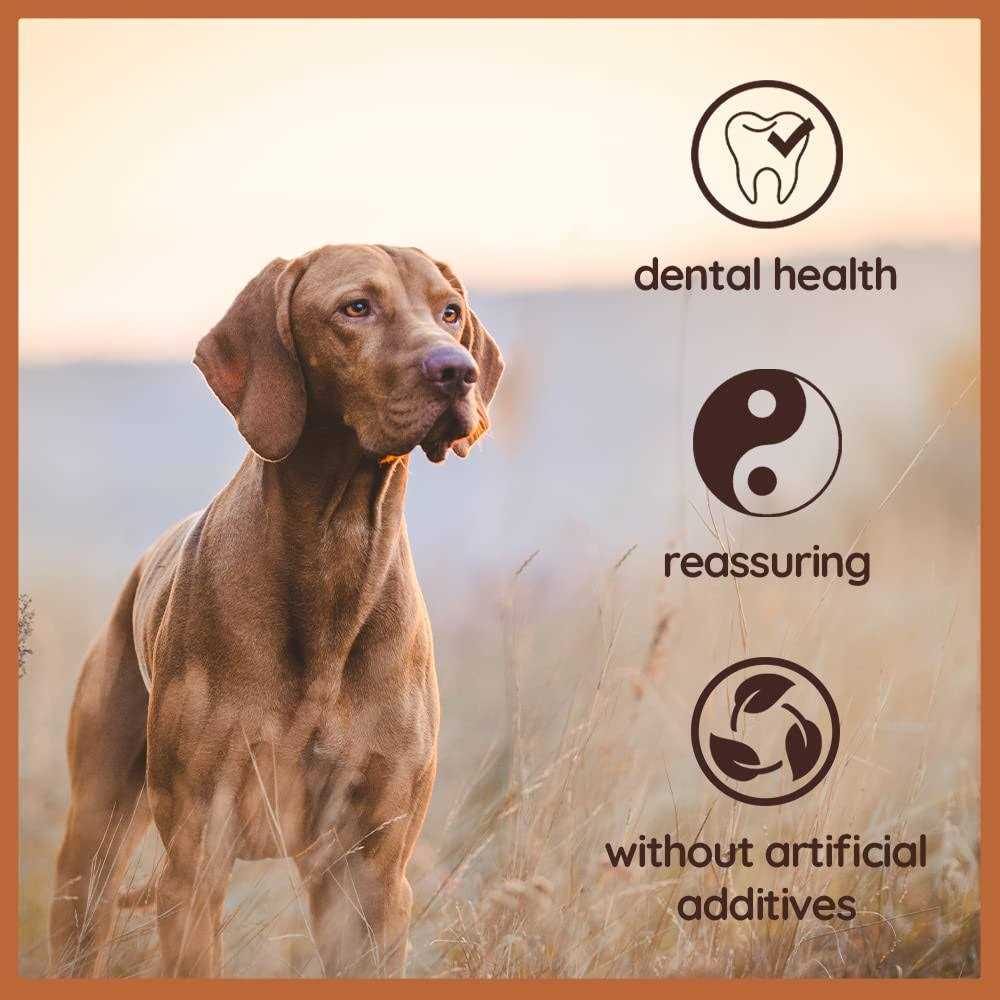 Chew Root for Dogs N830071