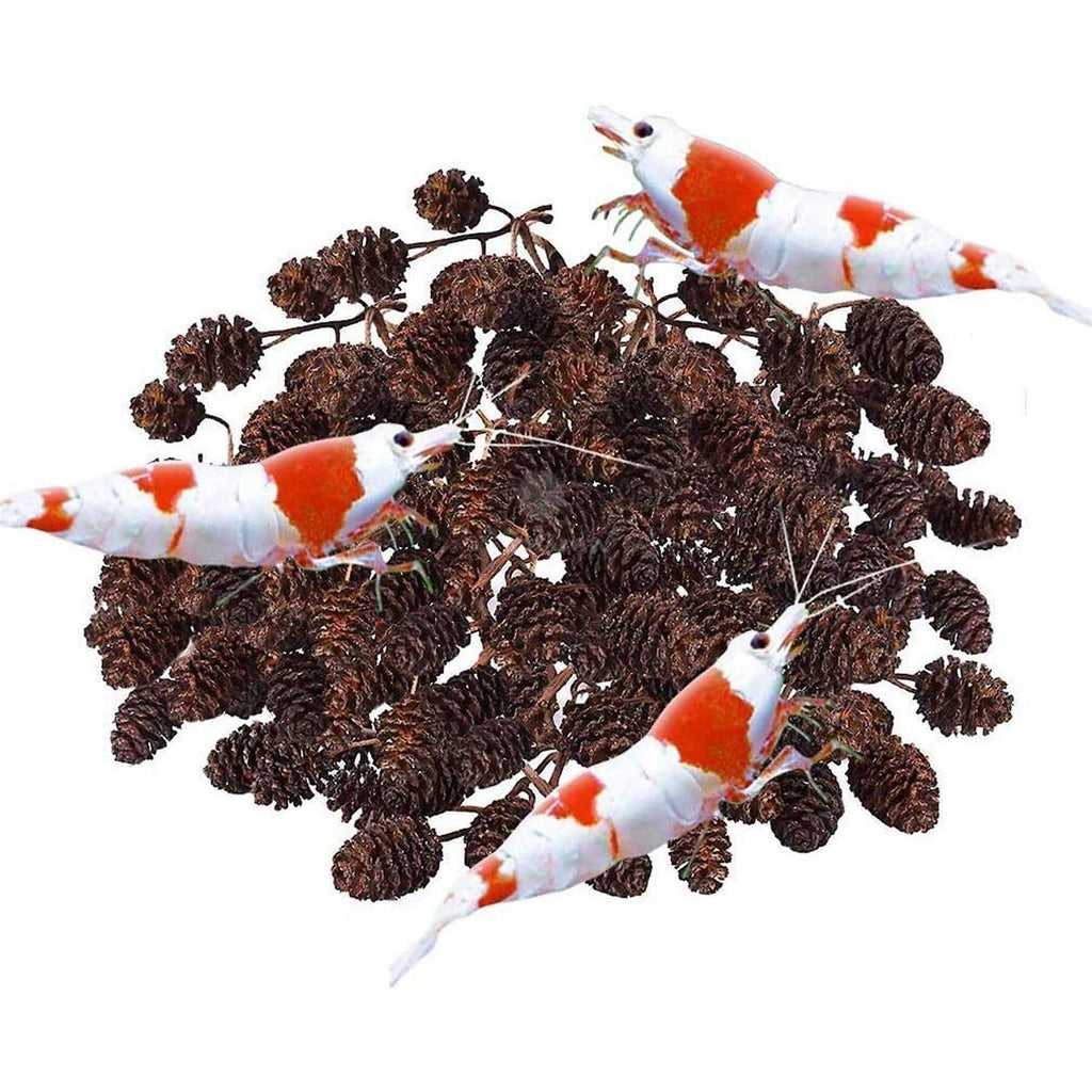 Alder Cones Aquarium Water Conditioner & Food C378693