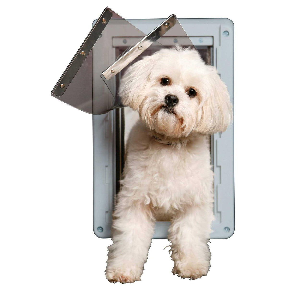 Pet Door Y304879