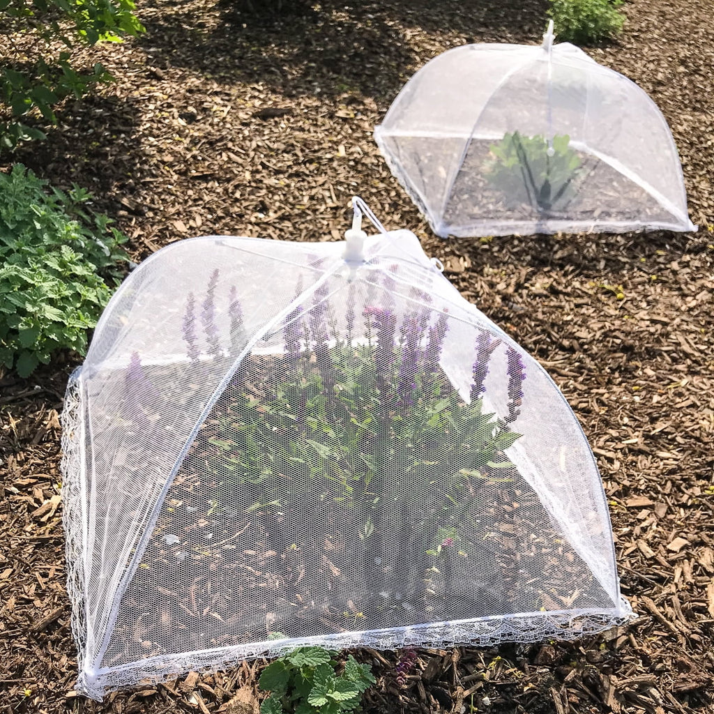 12 Pack 17x17 Pop-Up Mesh Food Covers D491