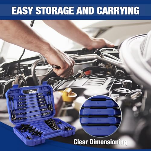 22-piece Ratcheting Wrench Set with 180° Flex Head, Anti-Slip Tooth, Metric 6-18mm & SAE 1/4-3/4", Black Electrophoretic Coating N9344
