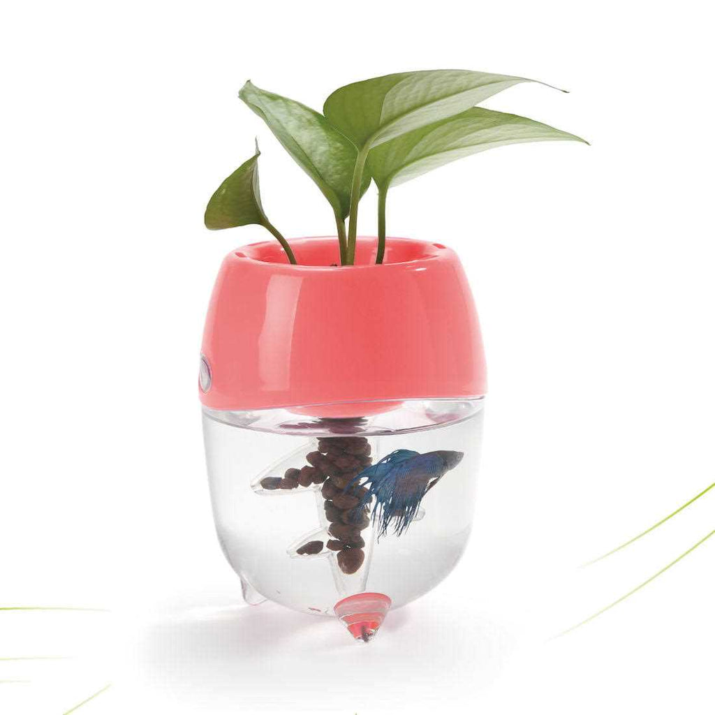 Aquaponic Fish Tank Aquarium with Water Garden Planter Top Lid K65552