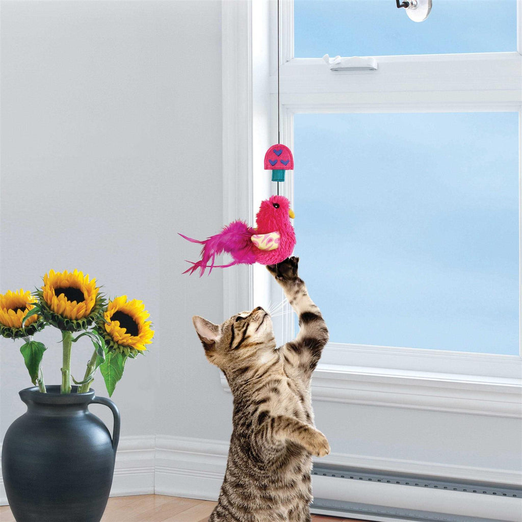 Cat Teaser J440884