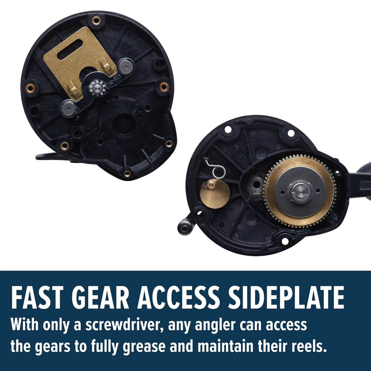 6' Conventional Combo Reel Size 20 F39968