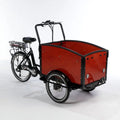 Electric Dutch Cargo Tricycle Bike P61438