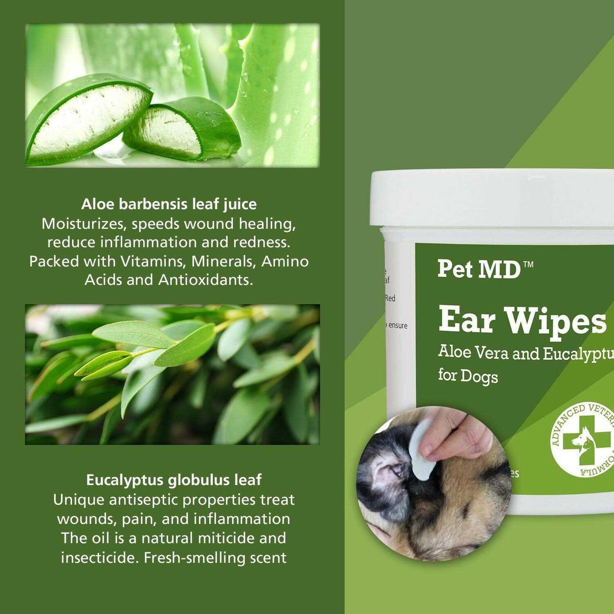 Aloe & Eucalyptus Dog Ear Wipes L677505