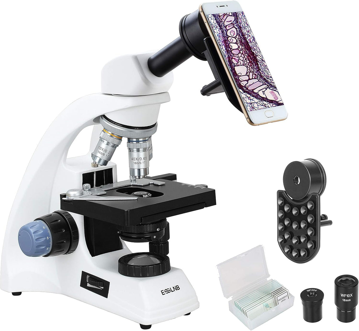 40X-2000X LED Compound Lab Microscope with Phone Adapter Q338