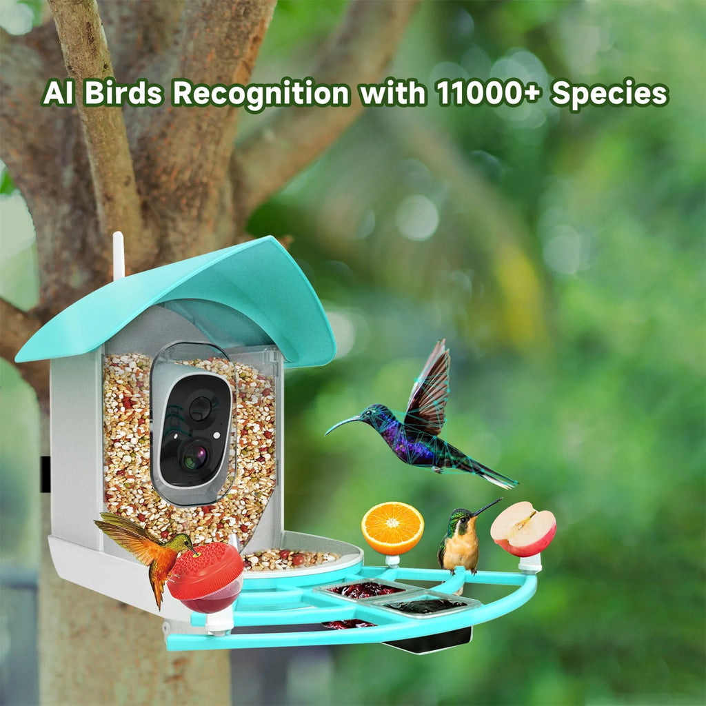 Solar-Powered WiFi 1080P Camera Bird Feeder Z43598