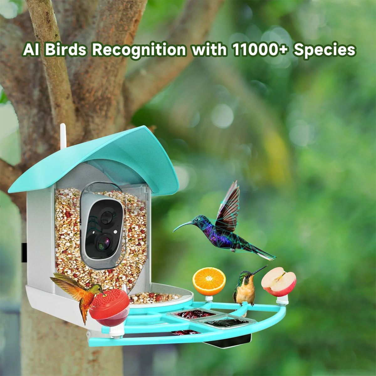 Solar-Powered WiFi 1080P Camera Bird Feeder Z43598