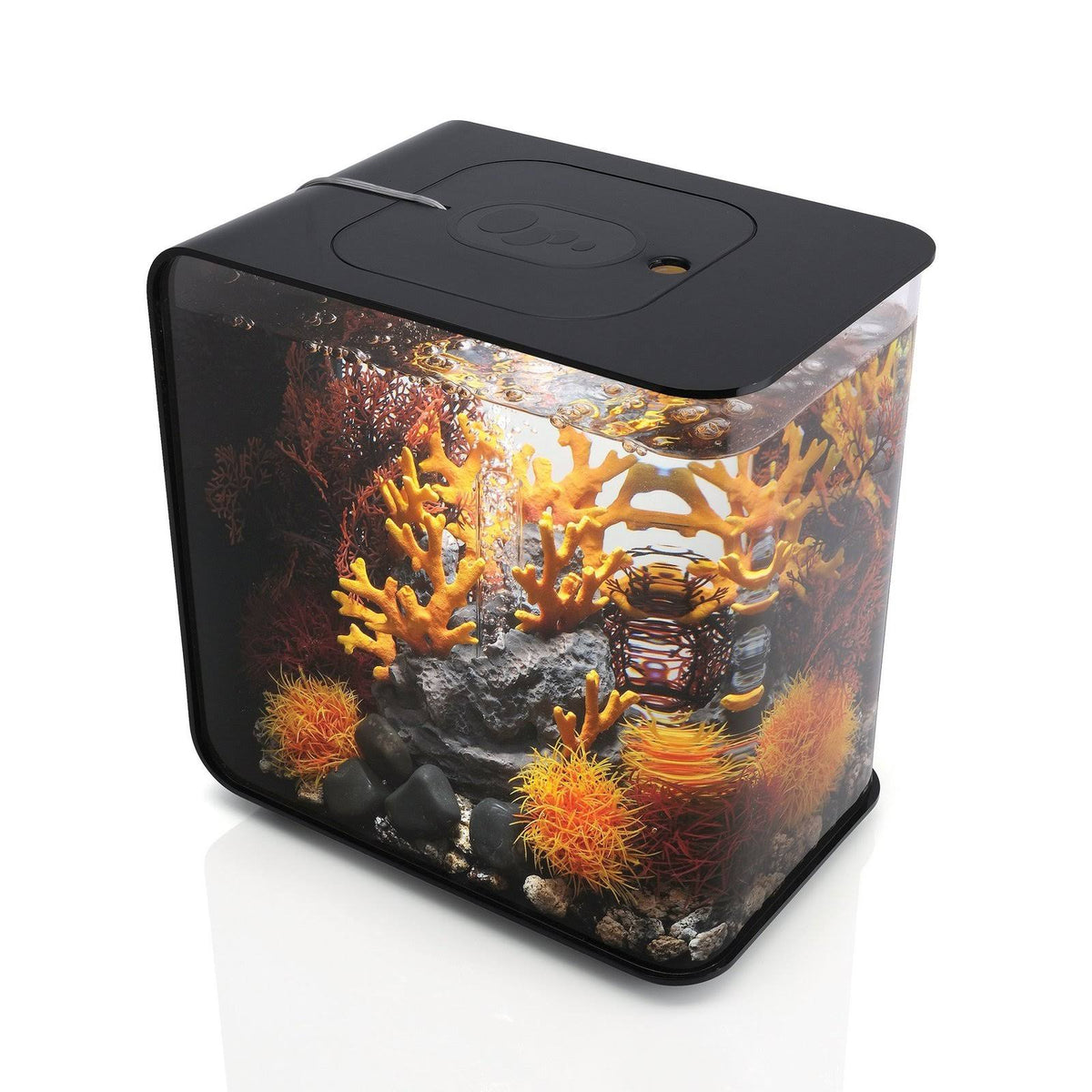 Black 8 Gal Aquarium with LED Light M955480