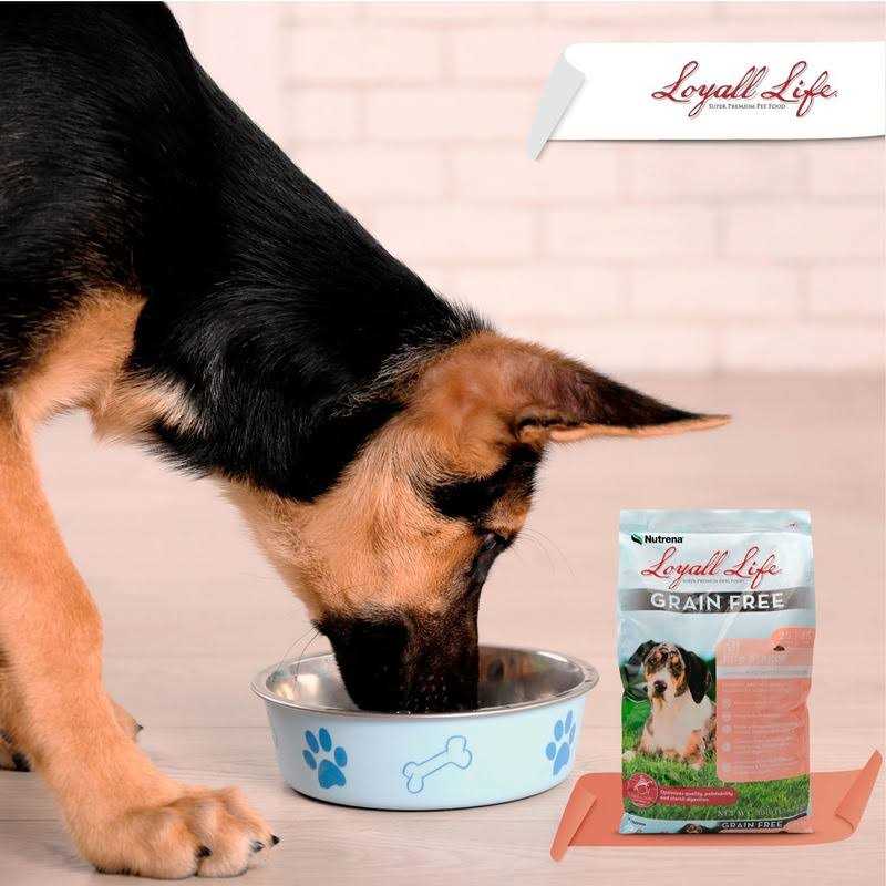 Grain Free Salmon Sweet Potato Dog Food 30 Pounds D56919