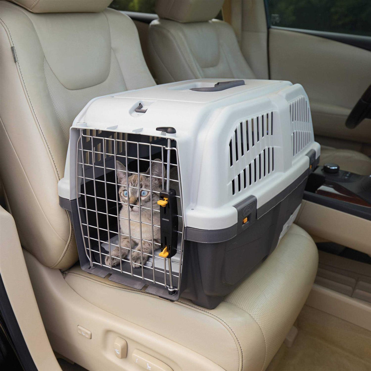 24” Plastic Cat Carrier with Litter Pan W575185