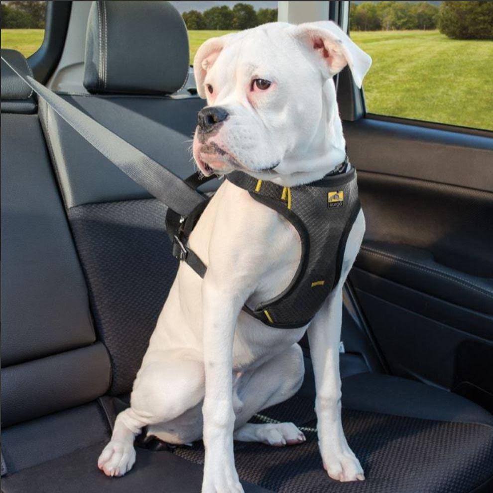 Impact Dog Car Harness B22448