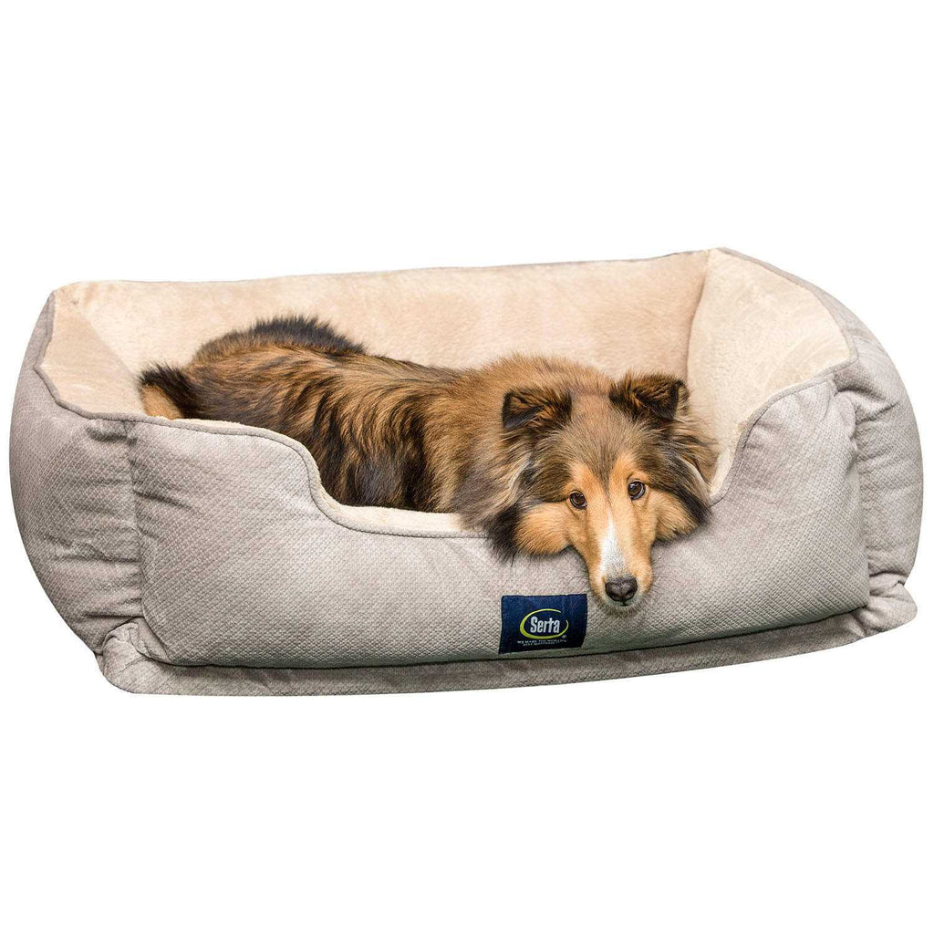 Pet Bed N554619