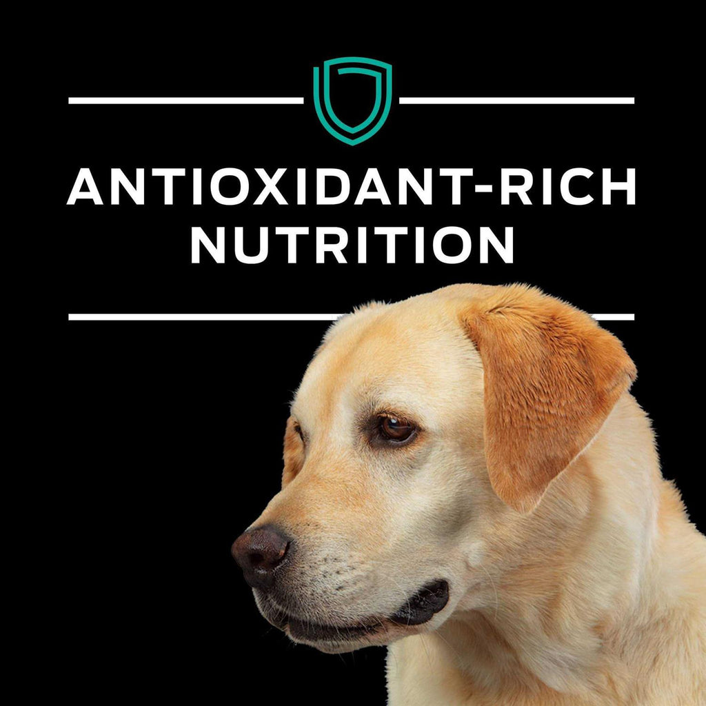 EN Gastroenteric Formula Dry Dog Food O7191