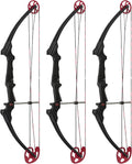 Black 3 Pack Adjustable Compound Bow Q909