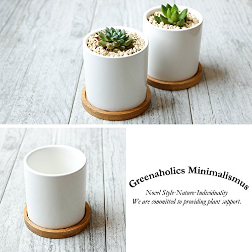 3 Inch White Ceramic Planter Set of 2 with Bamboo Tray A70344