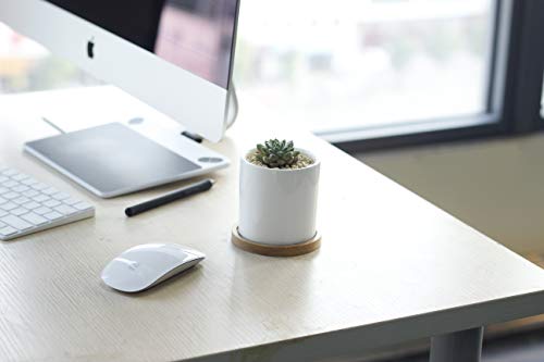 3 Inch White Ceramic Planter Set of 2 with Bamboo Tray A70344