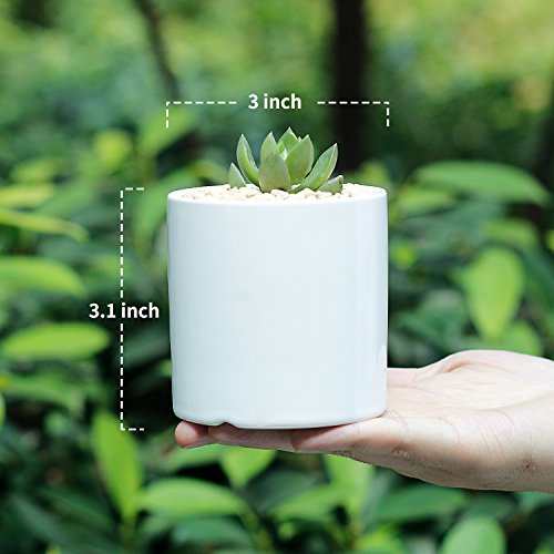 3 Inch White Ceramic Planter Set of 2 with Bamboo Tray A70344
