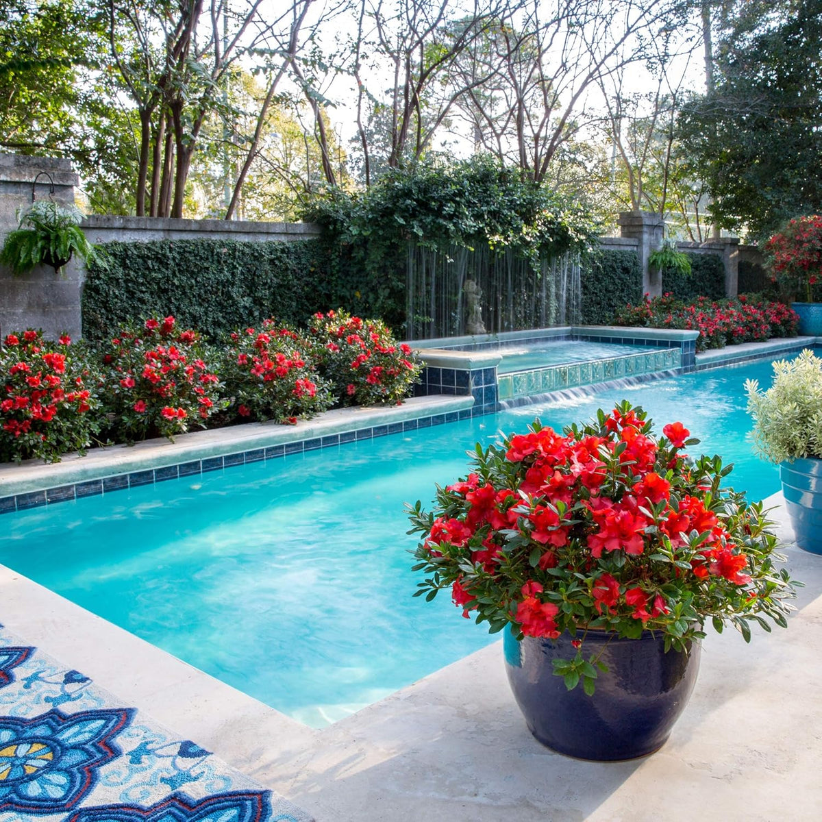 1 Piece Azalea K8825