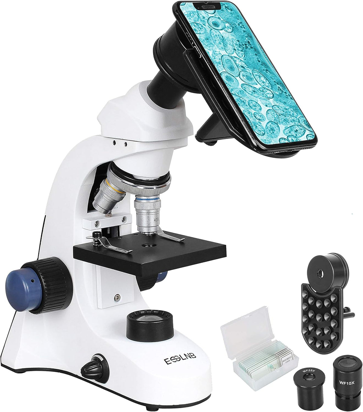 40X-2000X LED Compound Lab Microscope with Phone Adapter Q338