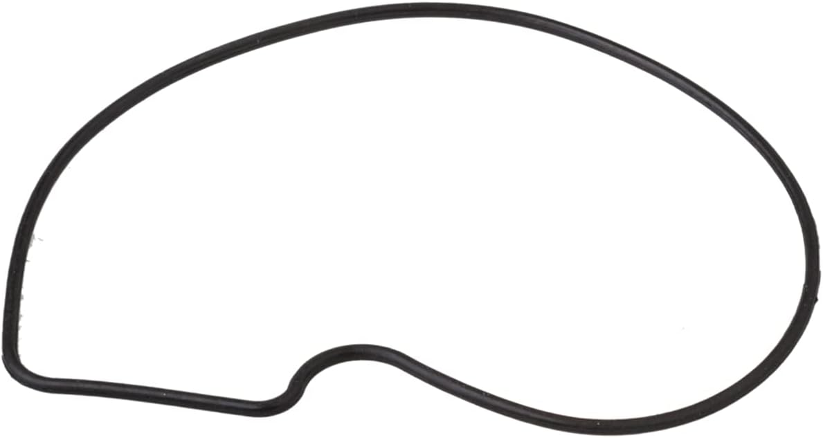 Water Pump Kit with Gasket 2.4L L4 Pack of 2 A91520