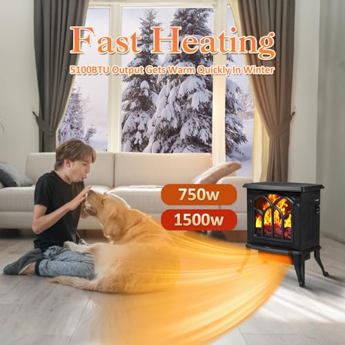 Electric Fireplace Stove with 3D Realistic Flame, 750W/1500W Mode F882