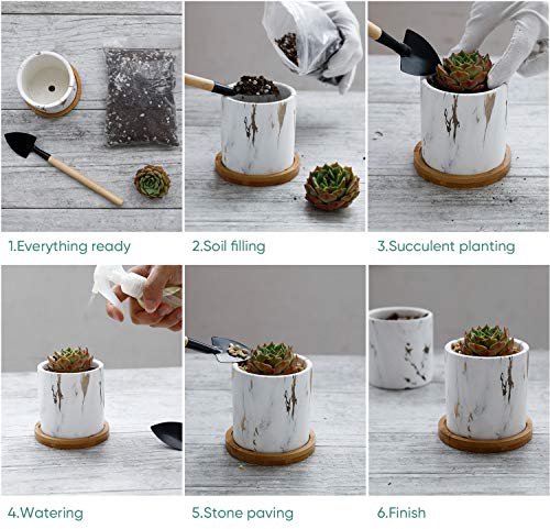 3 Inch White Ceramic Planter Set of 2 with Bamboo Tray A70344
