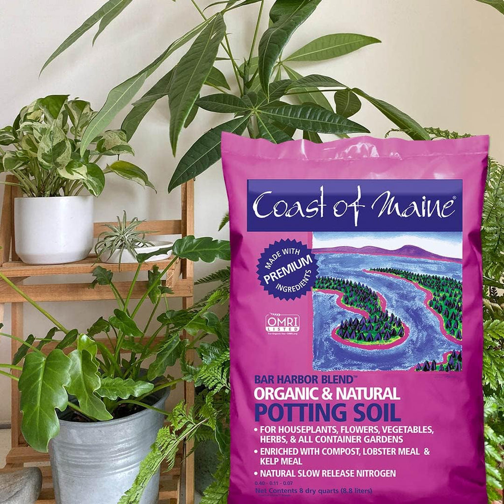 Organic Natural Potting Soil (8qt) T84337