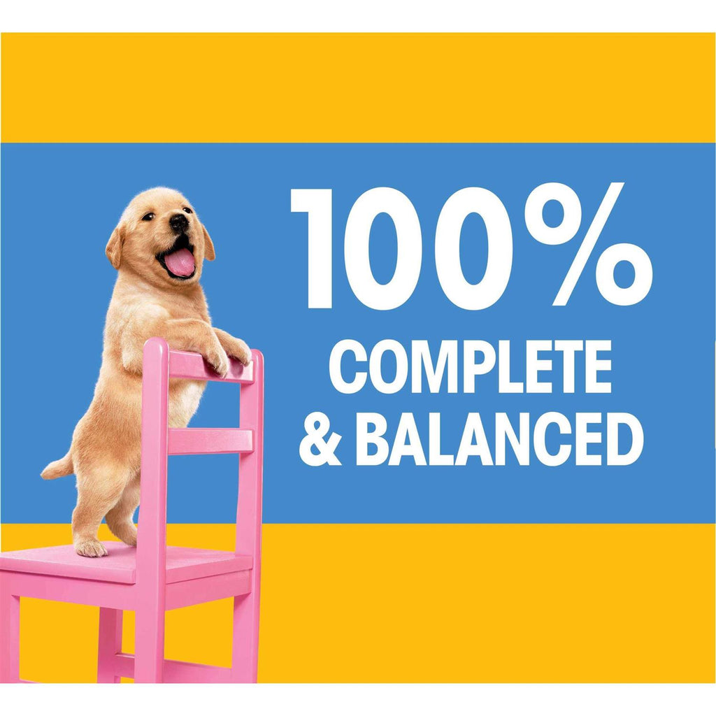 Pedigree Dry Dog Food Chicken & Vegetable Flavor Y47509